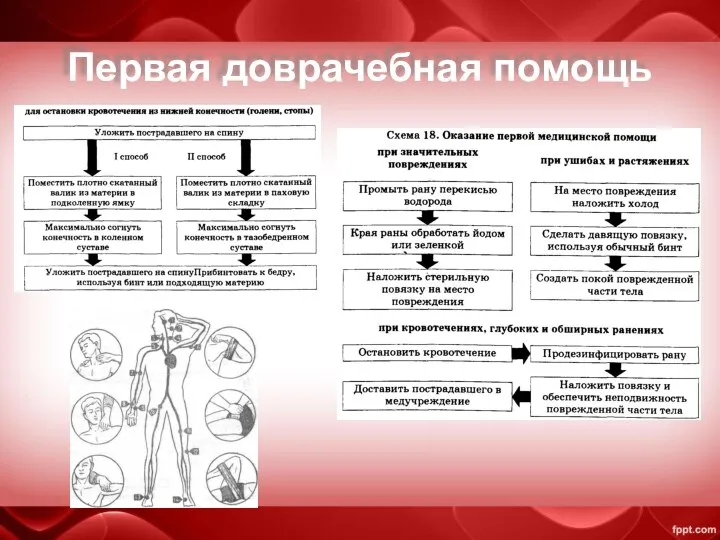 Первая доврачебная помощь