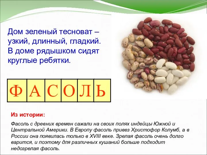 Дом зеленый тесноват – узкий, длинный, гладкий. В доме рядышком сидят