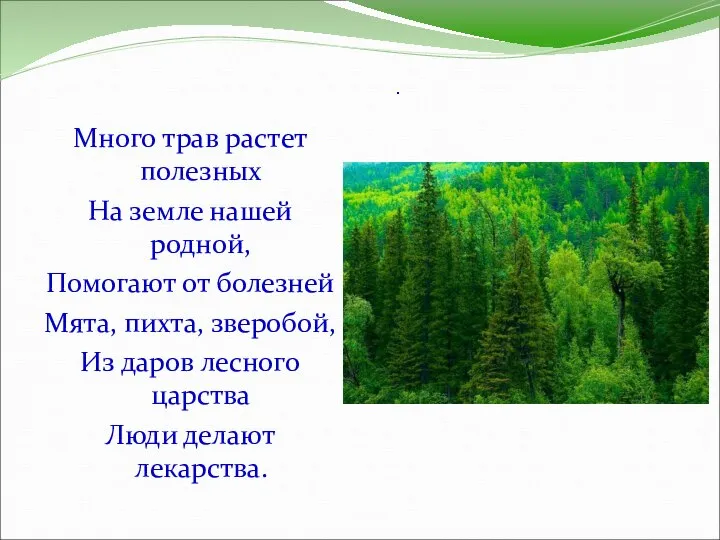 . Много трав растет полезных На земле нашей родной, Помогают от