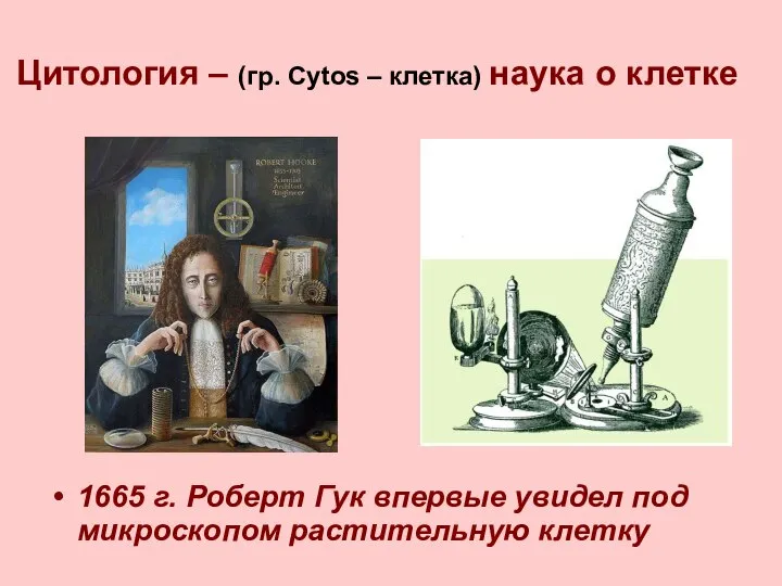 Цитология – (гр. Cytos – клетка) наука о клетке 1665 г.