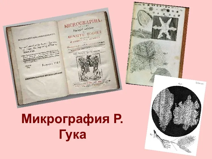 Микрография Р.Гука