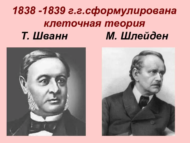 1838 -1839 г.г.сформулирована клеточная теория Т. Шванн М. Шлейден