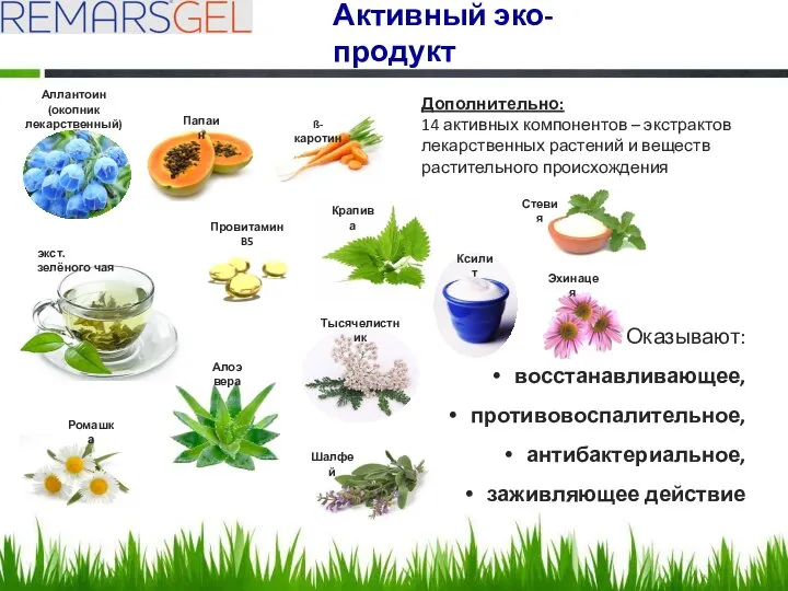 Активный эко-продукт Дополнительно: 14 активных компонентов – экстрактов лекарственных растений и