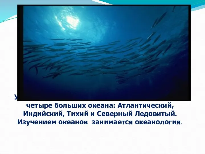 Ученые разделяют мировой водный бассейн на четыре больших океана: Атлантический, Индийский,