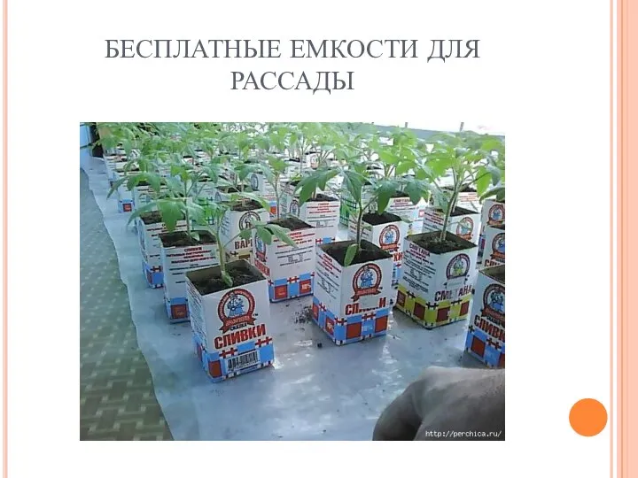 БЕСПЛАТНЫЕ ЕМКОСТИ ДЛЯ РАССАДЫ