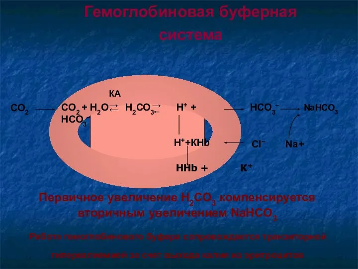 Гемоглобиновая буферная система Н++КHb Первичное увеличение Н2СО3 компенсируется вторичным увеличением NaHCO3