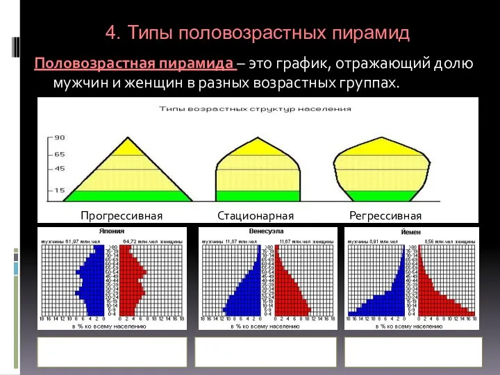 Половозрастная пирамида – это график, отражающий долю мужчин и женщин в