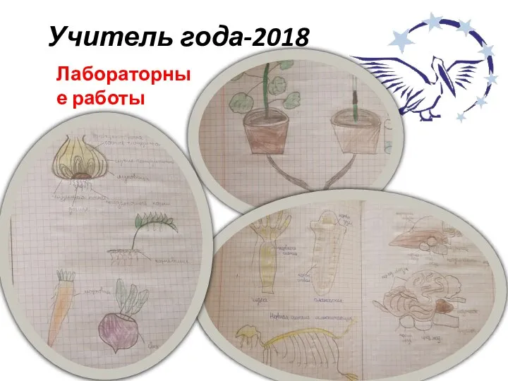 Учитель года-2018 Лабораторные работы