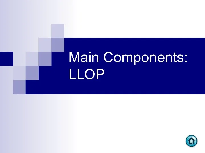 Main Components: LLOP