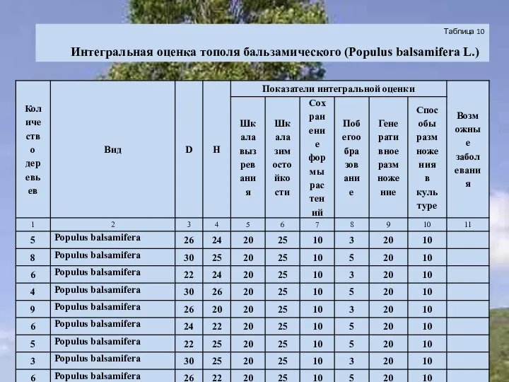 Таблица 10 Интегральная оценка тополя бальзамического (Populus balsamifera L.)