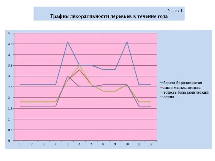 График 1 График декоративности деревьев в течение года