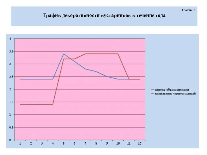 График 2 График декоративности кустарников в течение года