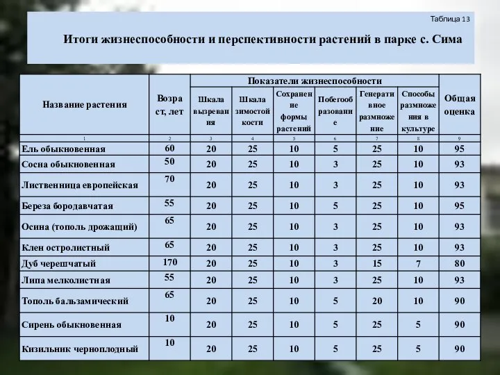 Таблица 13 Итоги жизнеспособности и перспективности растений в парке с. Сима