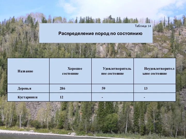 Таблица 14 Распределение пород по состоянию