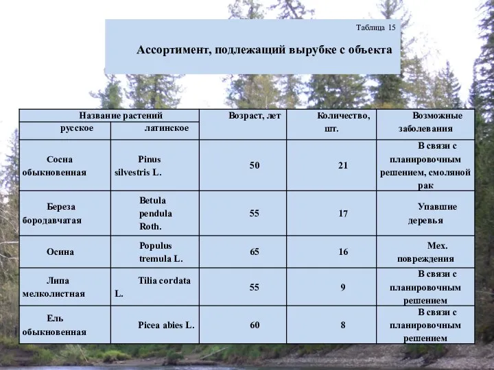 Таблица 15 Ассортимент, подлежащий вырубке с объекта