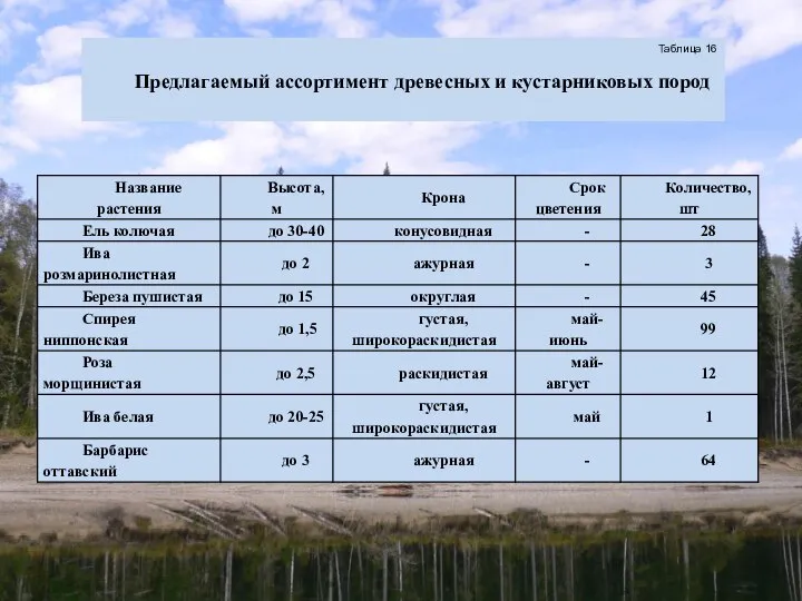 Таблица 16 Предлагаемый ассортимент древесных и кустарниковых пород