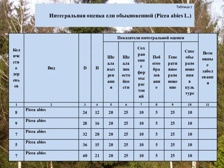 Таблица 2 Интегральная оценка ели обыкновенной (Picea abies L.)