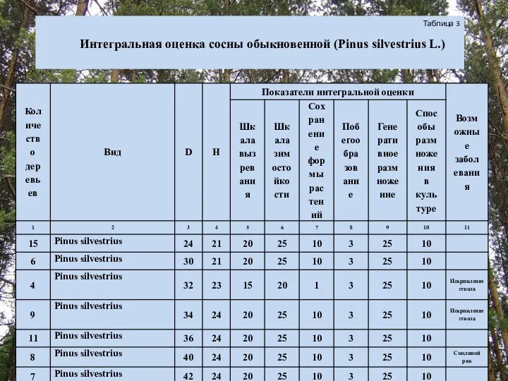 Таблица 3 Интегральная оценка сосны обыкновенной (Pinus silvestrius L.)