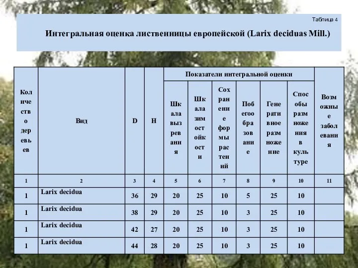 Таблица 4 Интегральная оценка лиственницы европейской (Larix deciduas Mill.)