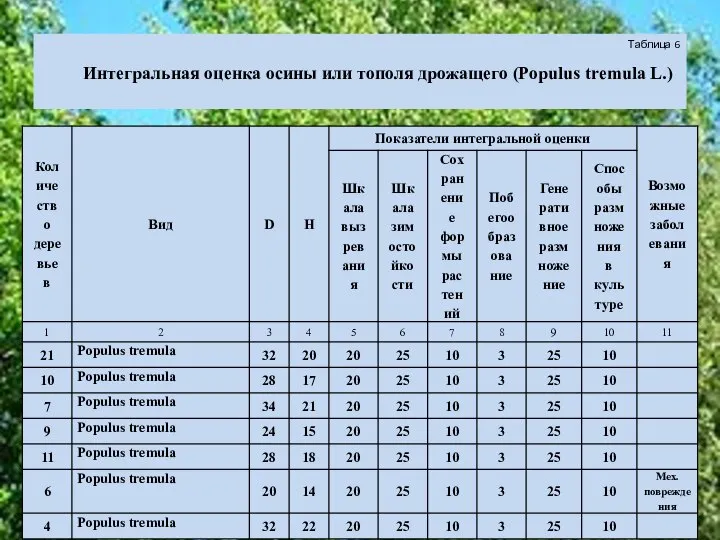 Таблица 6 Интегральная оценка осины или тополя дрожащего (Populus tremula L.)