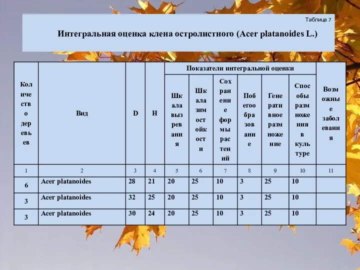 Таблица 7 Интегральная оценка клена остролистного (Acer platanoides L.)