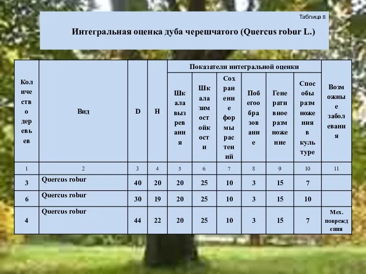 Таблица 8 Интегральная оценка дуба черешчатого (Quercus robur L.)