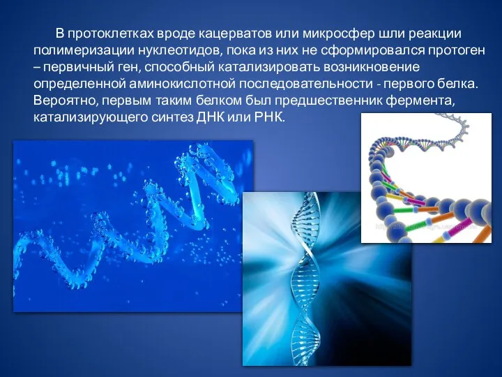 В протоклетках вроде кацерватов или микросфер шли реакции полимеризации нуклеотидов, пока