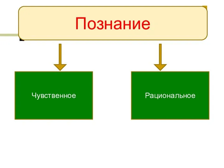 Познание Чувственное Рациональное