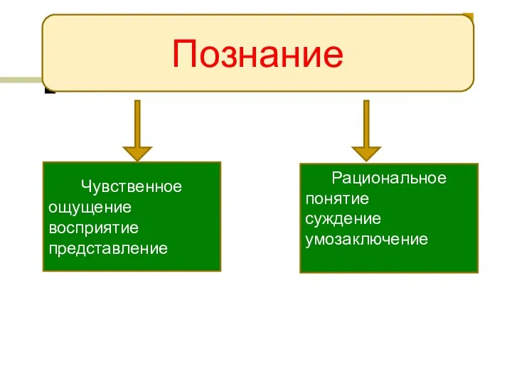 Познание Чувственное ощущение восприятие представление Рациональное понятие суждение умозаключение