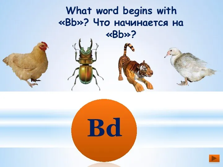 What word begins with «Bb»? Что начинается на «Bb»? Bd