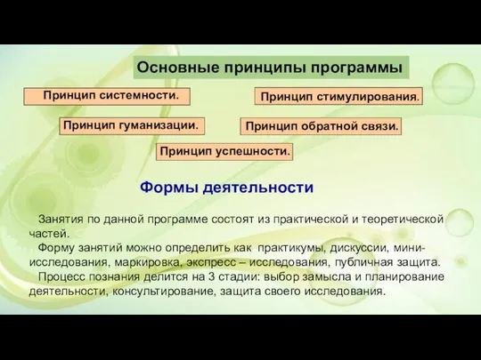 Основные принципы программы Принцип системности. Принцип гуманизации. Принцип обратной связи. Принцип