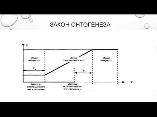 ЗАКОН ОНТОГЕНЕЗА