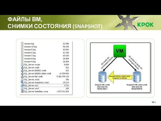 /6 ФАЙЛЫ ВМ, СНИМКИ СОСТОЯНИЯ (SNAPSHOT)