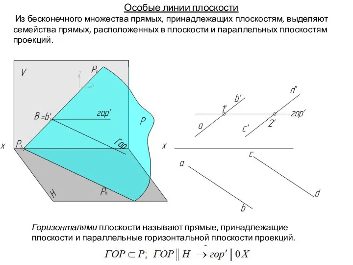 Особые линии плоскости Из бесконечного множества прямых, принадлежащих плоскостям, выделяют семейства