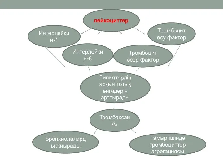 лейкоциттер Интерлейкин-1 Интерлейкин-8 Тромбоцит әсер фактор Тромбоцит өсу фактор Липидтердің асқын