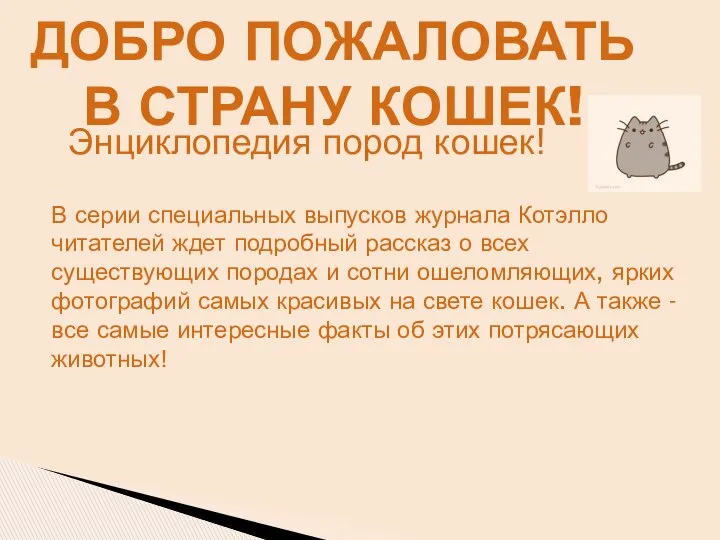 Энциклопедия пород кошек! В серии специальных выпусков журнала Котэлло читателей ждет