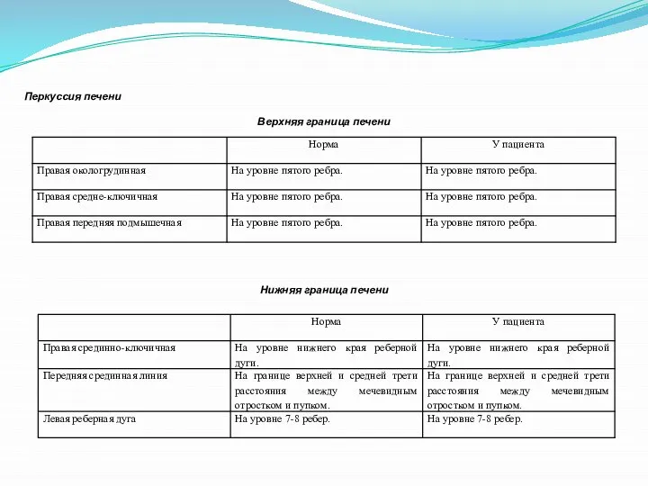 Перкуссия печени Верхняя граница печени Нижняя граница печени