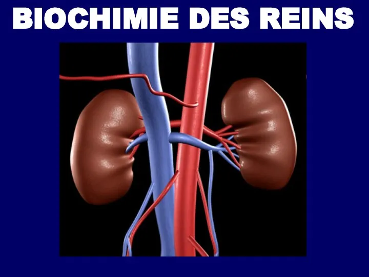 BIOCHIMIE DES REINS