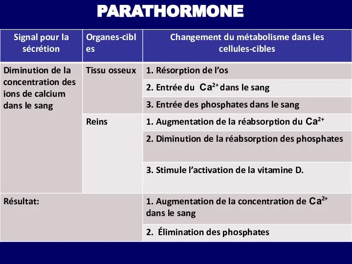 PARATHORMONE