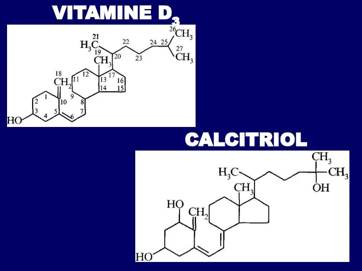 VITAMINE D3 CALCITRIOL