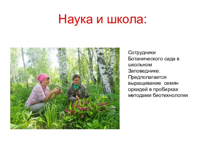 Наука и школа: Сотрудники Ботанического сада в школьном Заповеднике. Предполагается выращивание