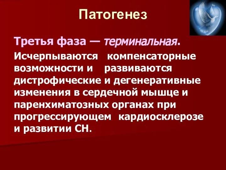 Патогенез Третья фаза — терминальная. Исчерпываются компенсаторные возможности и развиваются дистрофические