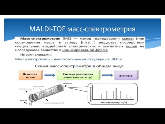 MALDI-TOF масс-спектрометрия