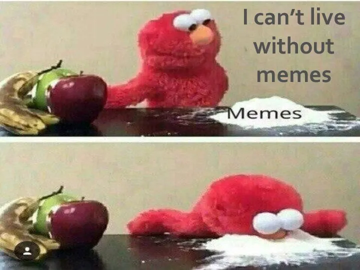 I can’t live without memes