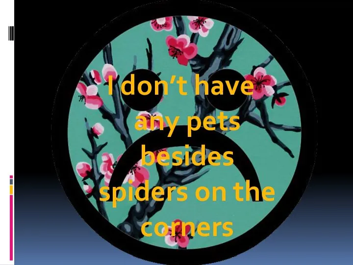 I don’t have any pets besides spiders on the corners