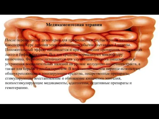 Медикаментозная терапия После перенесенной дизентерии для профилактики дисбактериоза назначают биоспорин. Курс