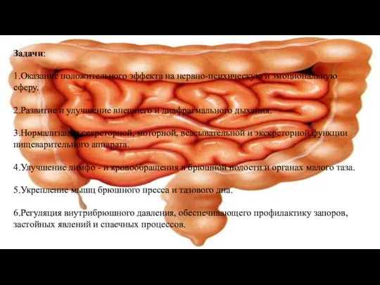 Задачи: 1.Оказание положительного эффекта на нервно-психическую и эмоциональную сферу. 2.Развитие и