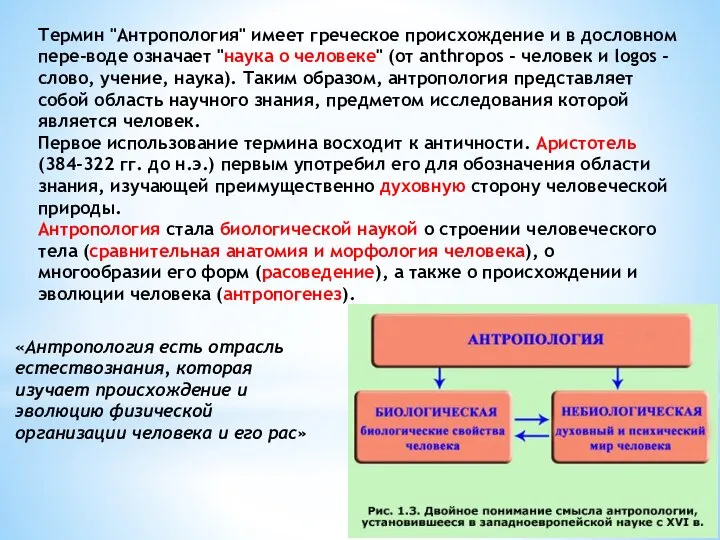 Термин "Антропология" имеет греческое происхождение и в дословном пере-воде означает "наука