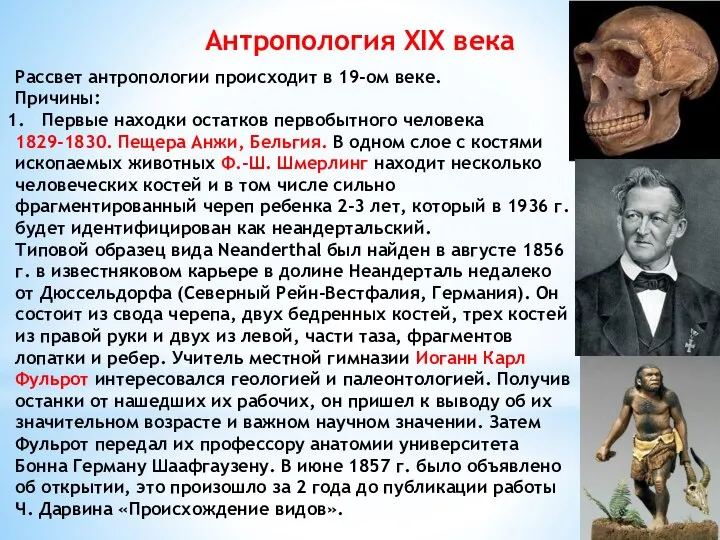 Рассвет антропологии происходит в 19-ом веке. Причины: Первые находки остатков первобытного