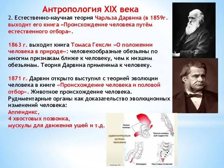 2. Естественно-научная теория Чарльза Дарвина (в 1859г. выходит его книга «Происхождение